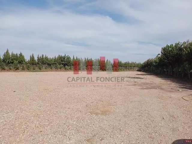 Terrain 6000m2 aménagé pour stockage de véhicules à la location Merchiche - الدار البيضاء (2)