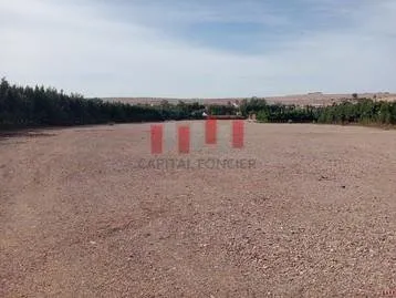 Terrain 6000m2 aménagé pour stockage de véhicules à la location Merchiche - الدار البيضاء