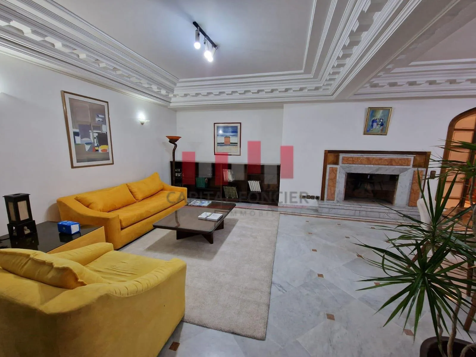 SPACIEUX RARE RACINE - الدار البيضاء (3)