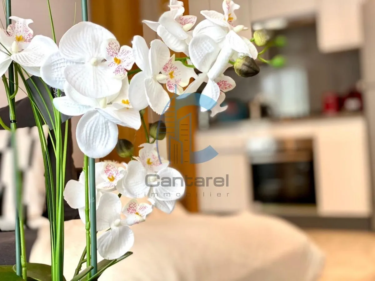 LOCATION STUDIO NEUF - BOURGONE - الدار البيضاء (3)