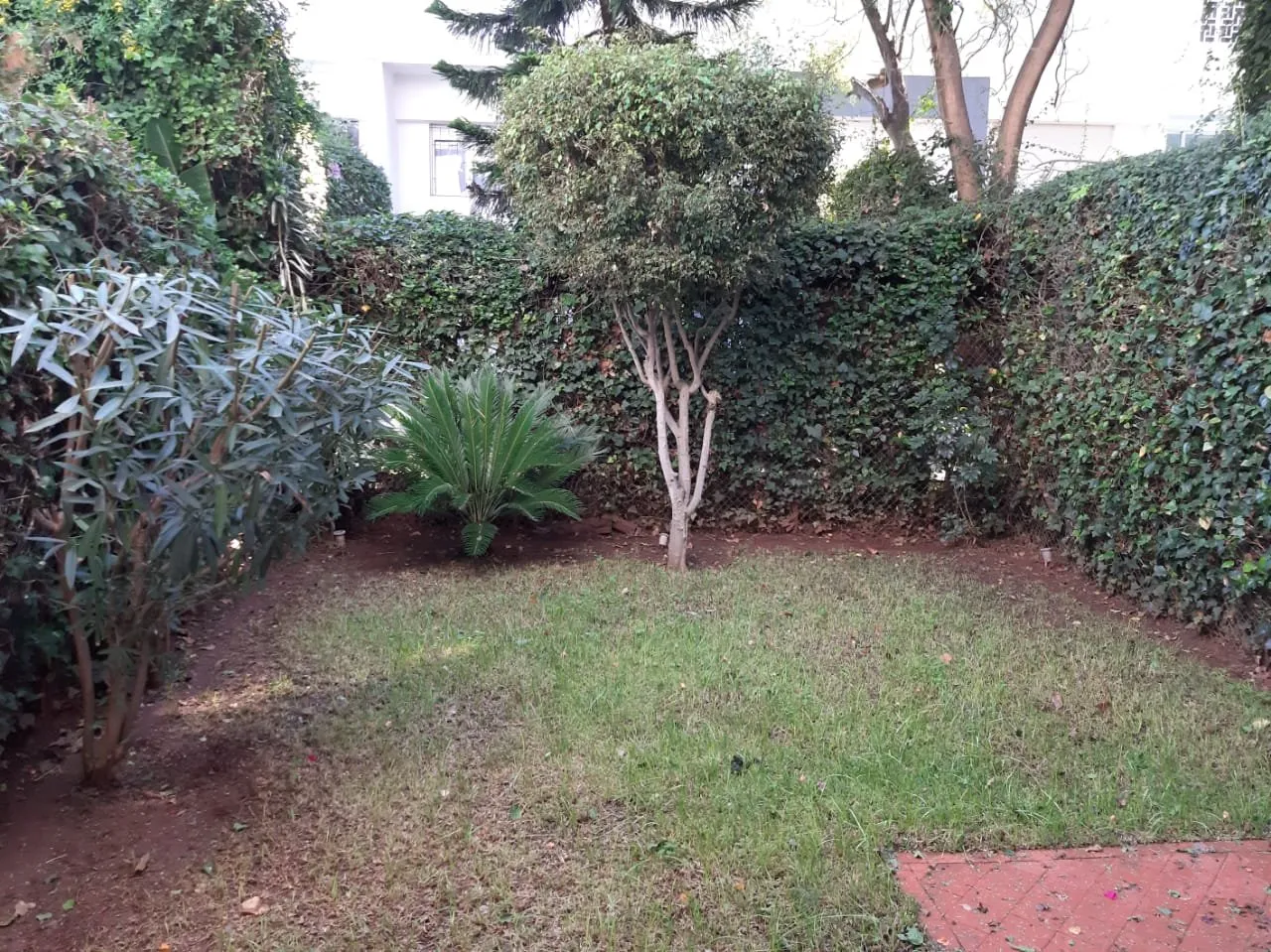 Triplex en location vide sur C.I.L  3 CH - الدار البيضاء