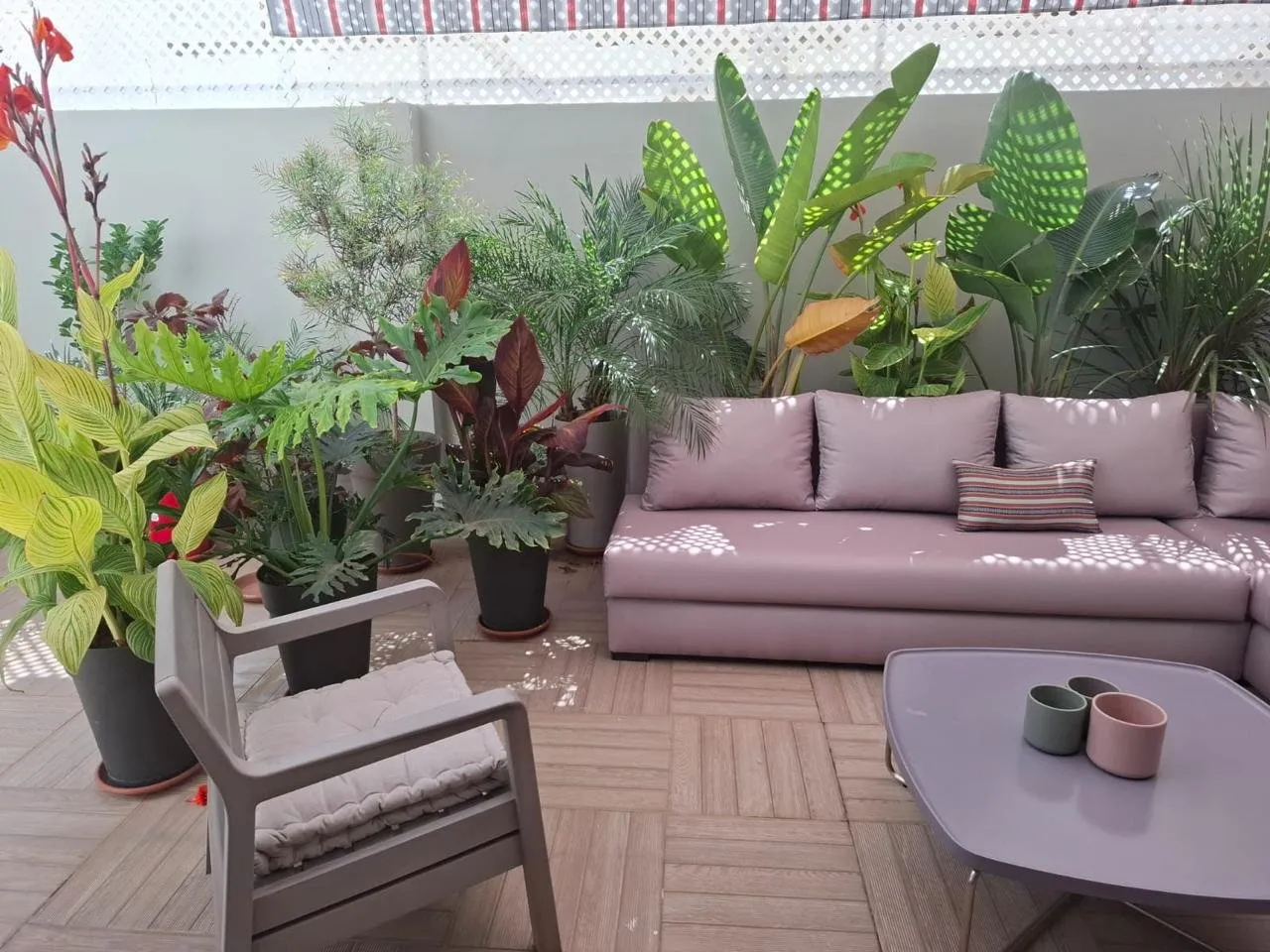 Appartement meublé avec terrasse et jardin - الدار البيضاء (3)