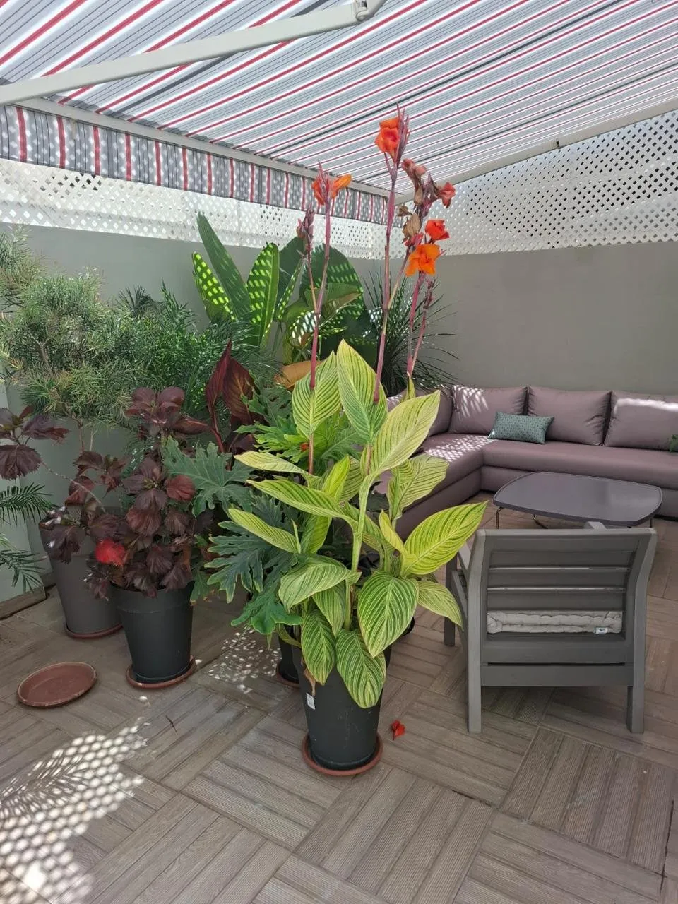 Appartement meublé avec terrasse et jardin - الدار البيضاء (4)