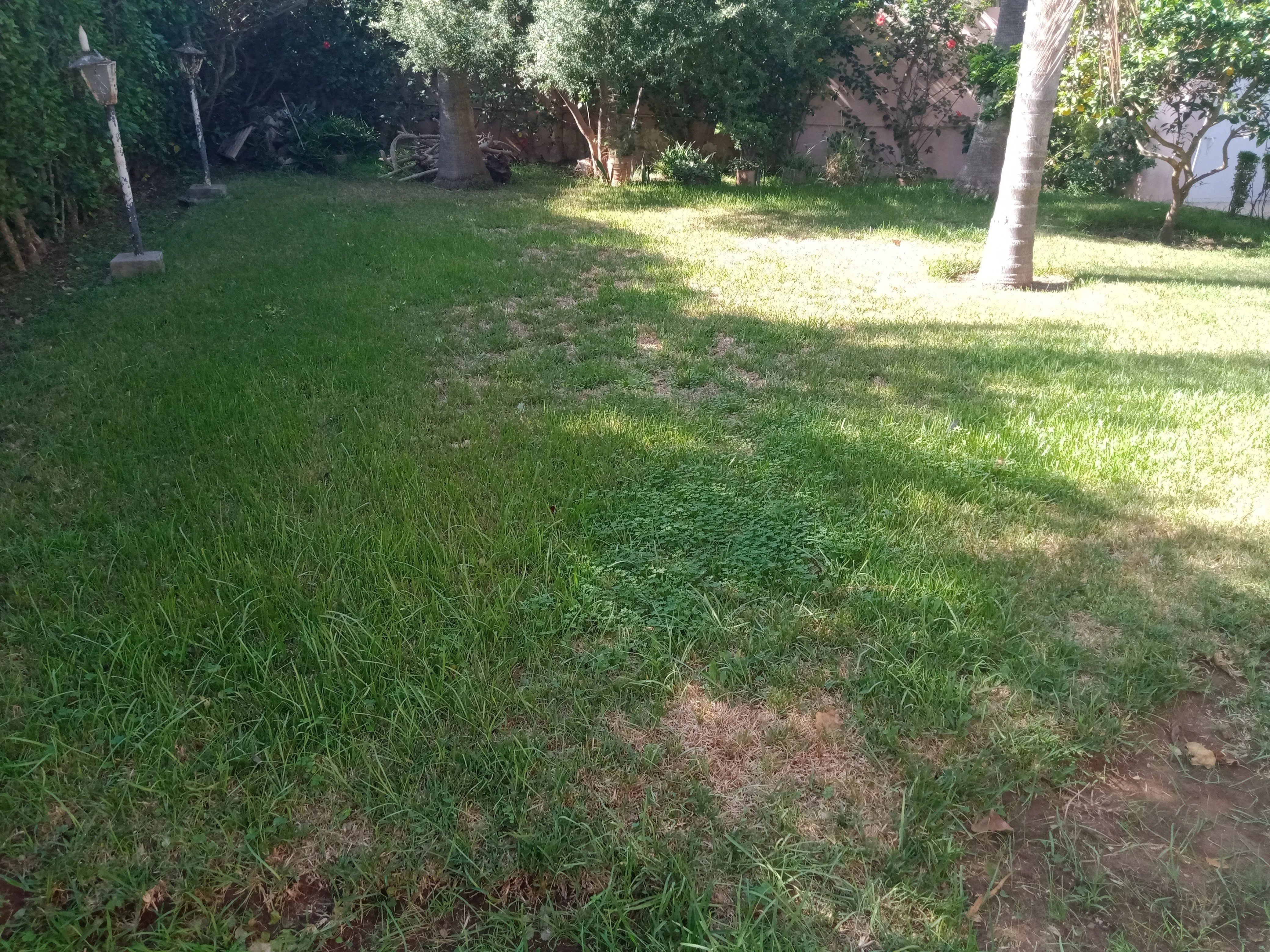 Villa à louer située à Californie Casa - الدار البيضاء (2)