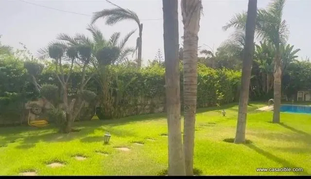 Californie: Villa meublé, piscine. - الدار البيضاء (2)