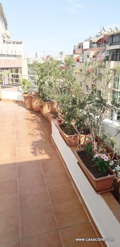 Bourgogne: appartement meublé avec terrasse. - الدار البيضاء (2)