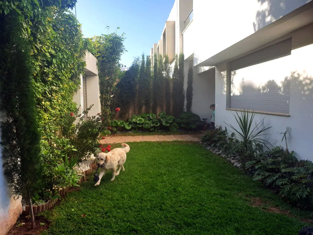 Villa avec grand jardin, en résidence sécurisée - الدار البيضاء (2)