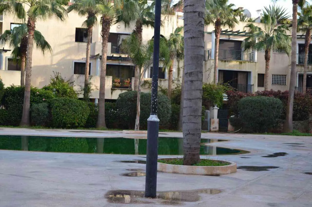 Bel appartement à louer à Ain Diab à 600 dhs par jour (location à partir de deux nuitées) - الدار البيضاء (4)