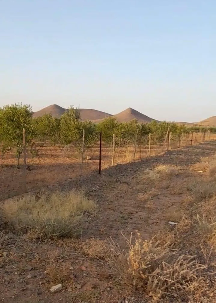 Ferme Titrée à Vendre 2 H 2500 m² Borrous Kms 25 - مراكش (2)