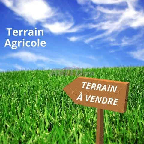 Terrain Agricole Titré  47 Hectares Route d'Ourika - مراكش