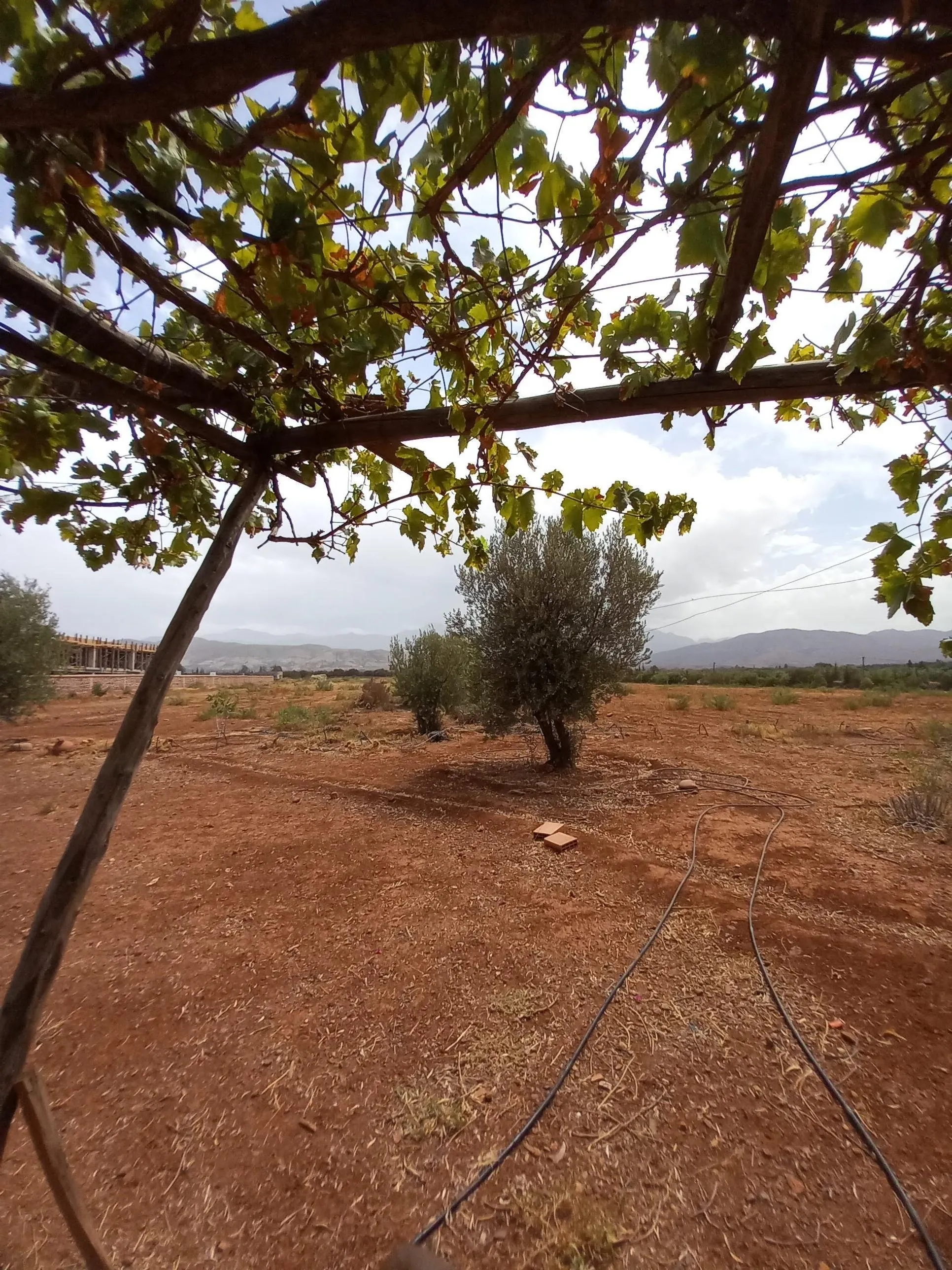 Terrain commercial titré de 5 H au pied de l'Ourika - مراكش (3)