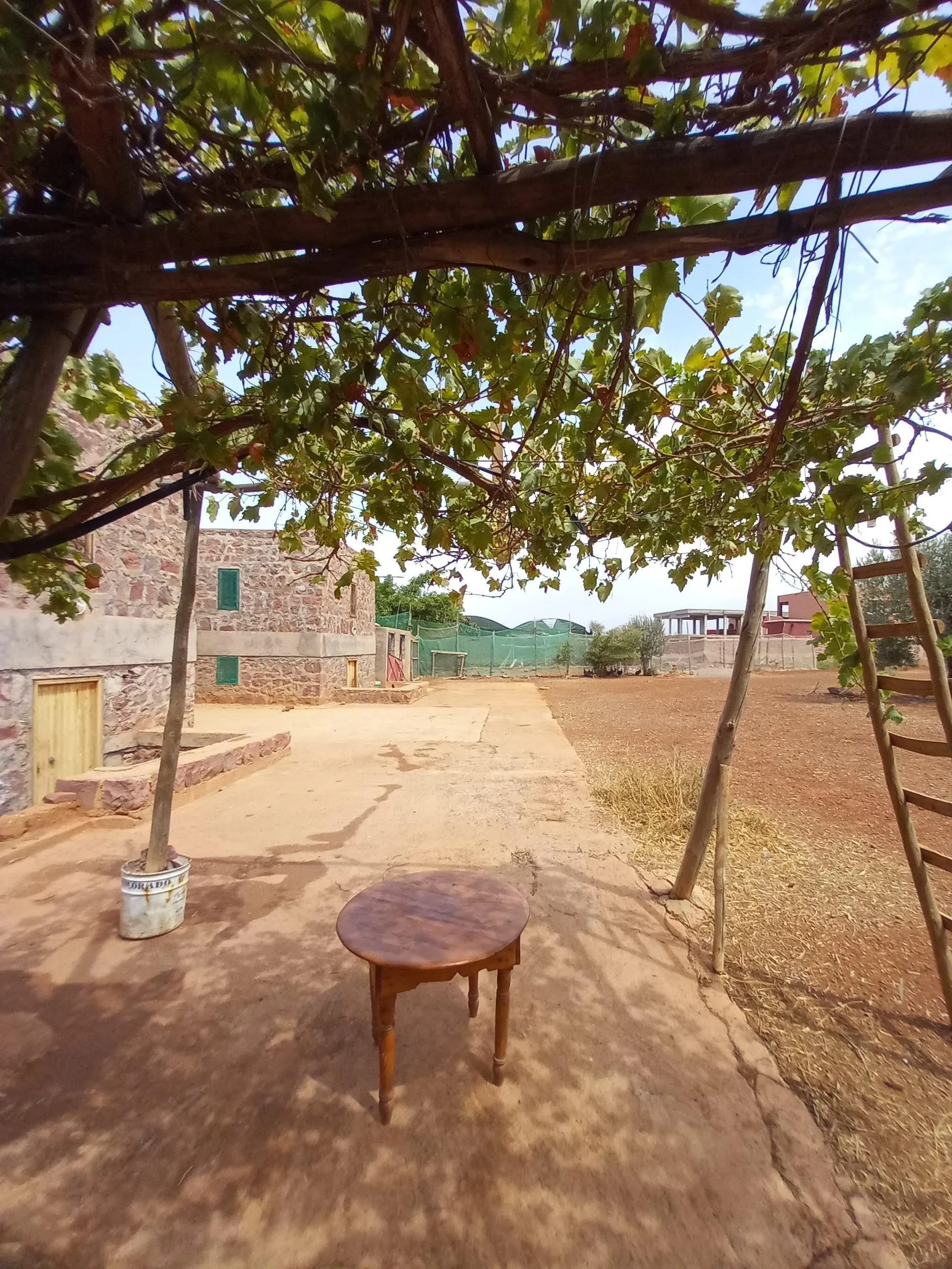 Terrain commercial titré de 5 H au pied de l'Ourika - مراكش (4)