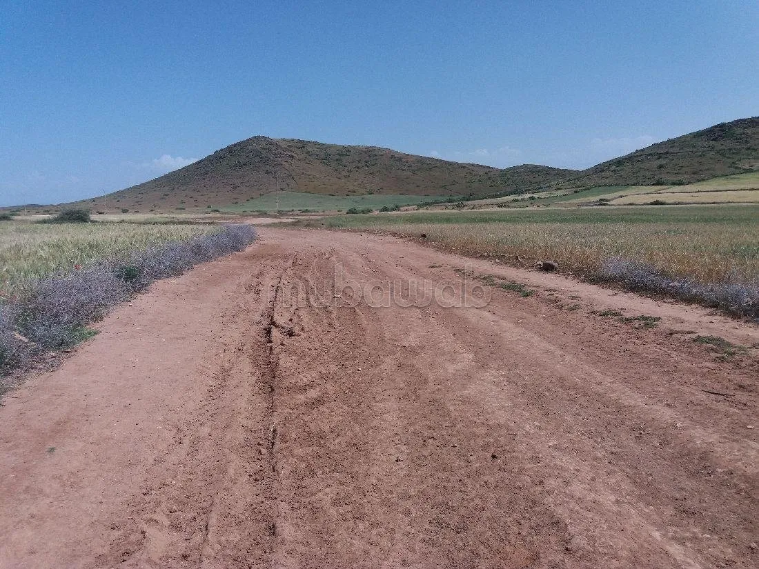 Terrain à vendre 76 hectares Borrous Marrakech - مراكش (3)