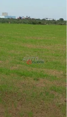terrain agricole à 45 mn de Casablanca - bir-jdid (3)