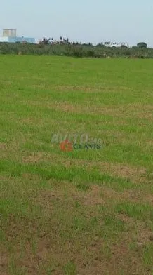 terrain agricole à 45 mn de Casablanca - bir-jdid