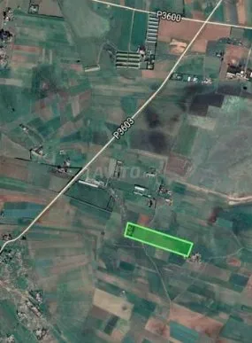 terrain agricole à 45 mn de Casablanca - bir-jdid (2)