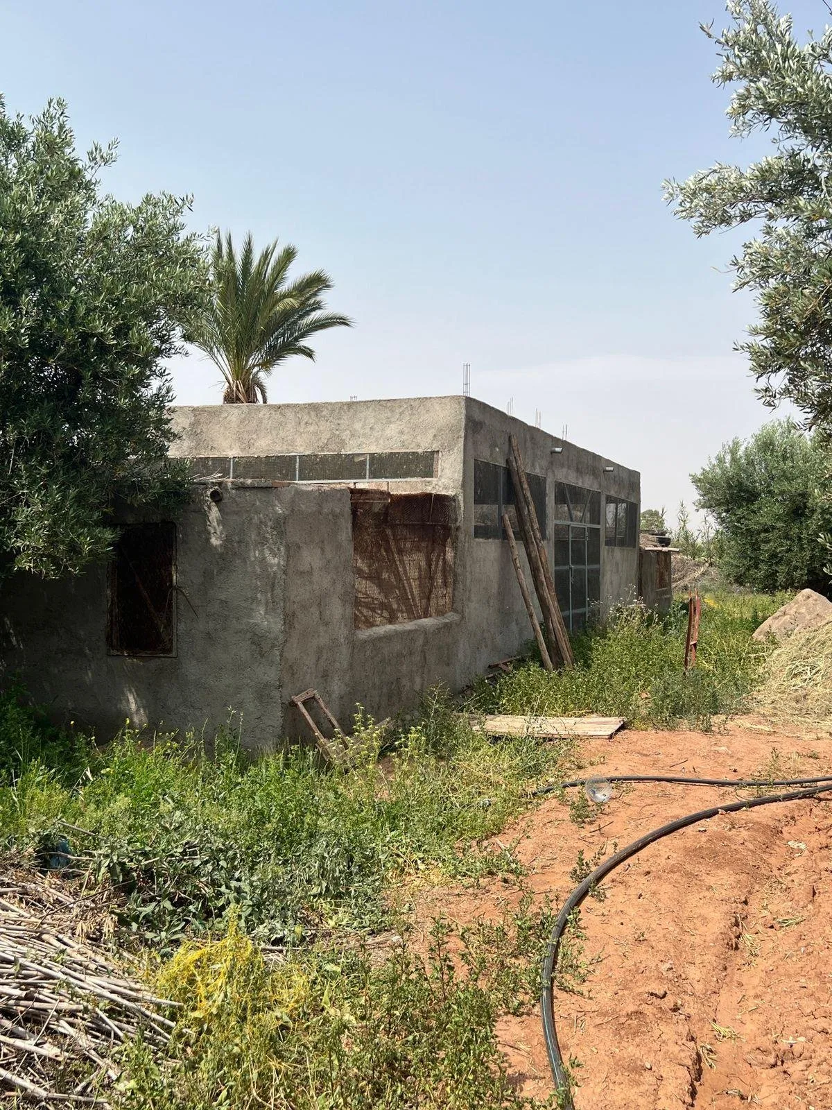 Ferme 2 hectares à vendre route de Fès Marrakech - مراكش (4)