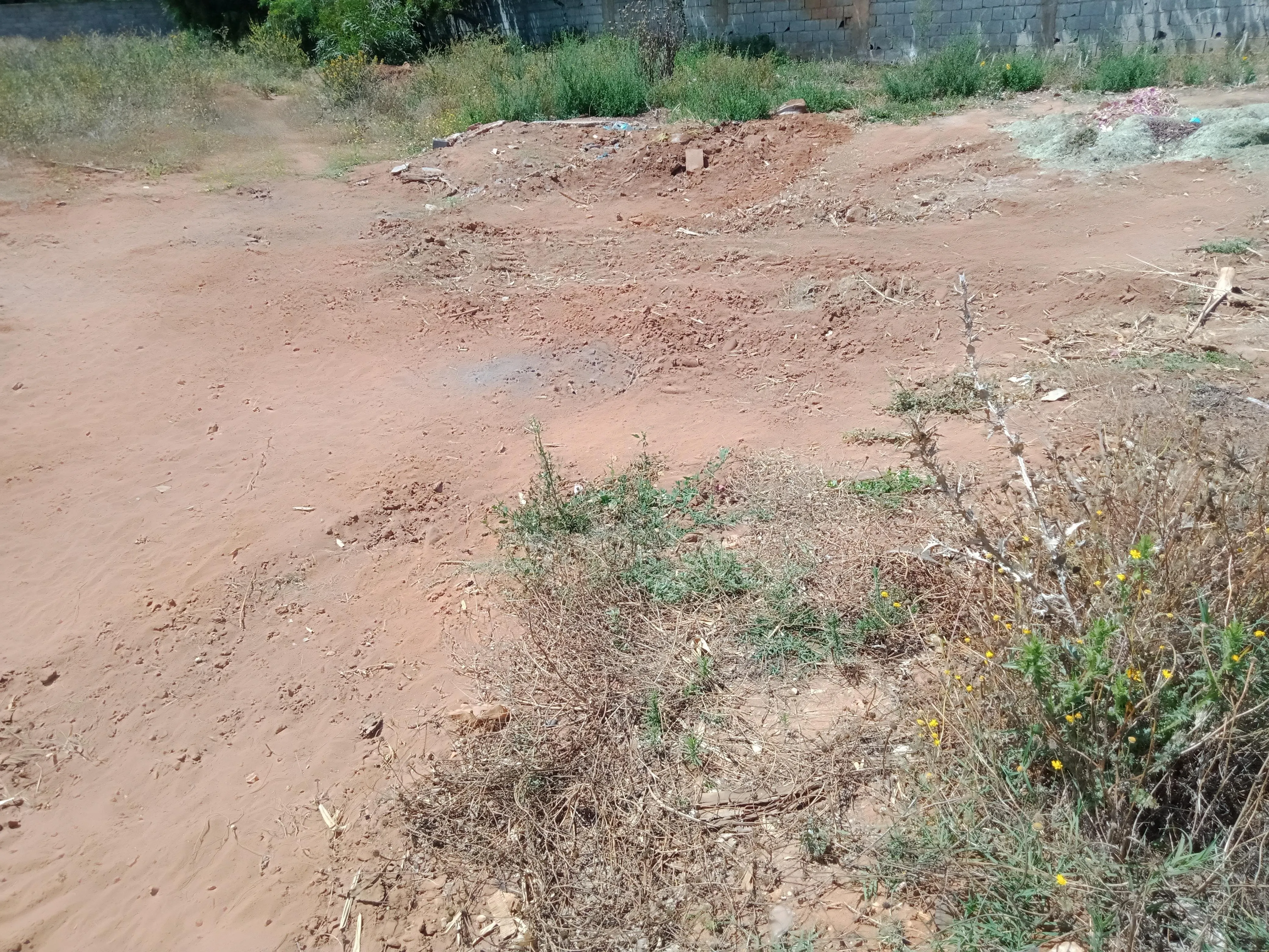 Terrain commercial à vendre situé a Bir Kacem Souissi - الرباط (3)
