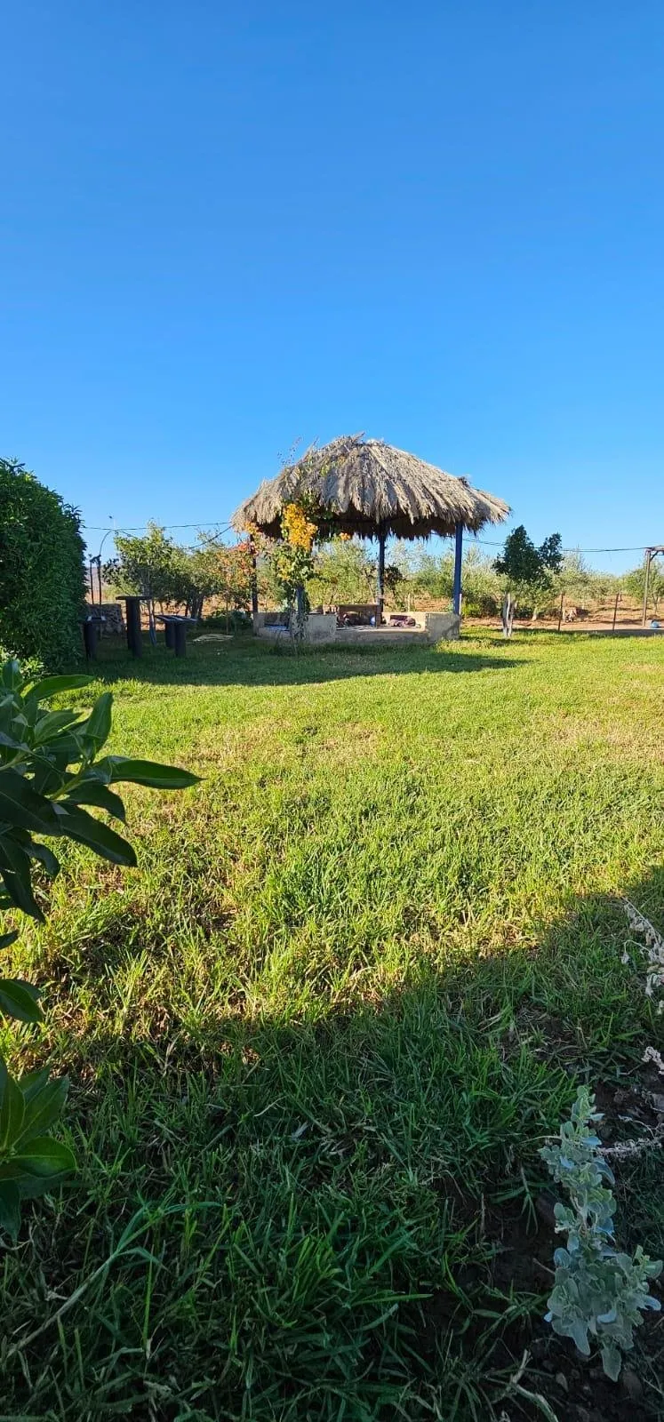 Ferme équipée de 4 hectares région de Marrakech - مراكش