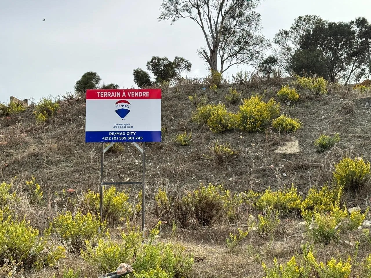 Terrain pour la vente au golf - طنجة