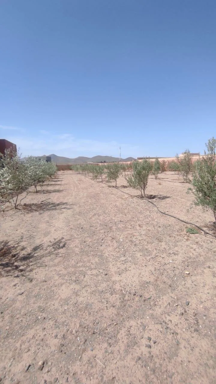 Lot de Terrain 100 m² Maison R2 Chez Ali Ben Fellah - مراكش (2)