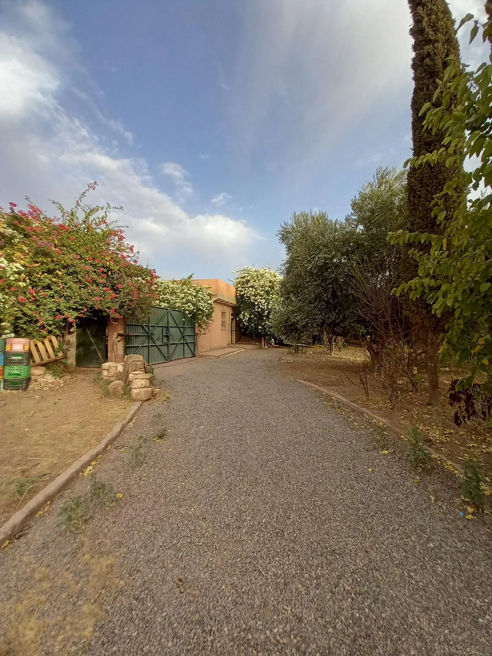 Lot commercial d'un Hectare à  Chrifia - مراكش