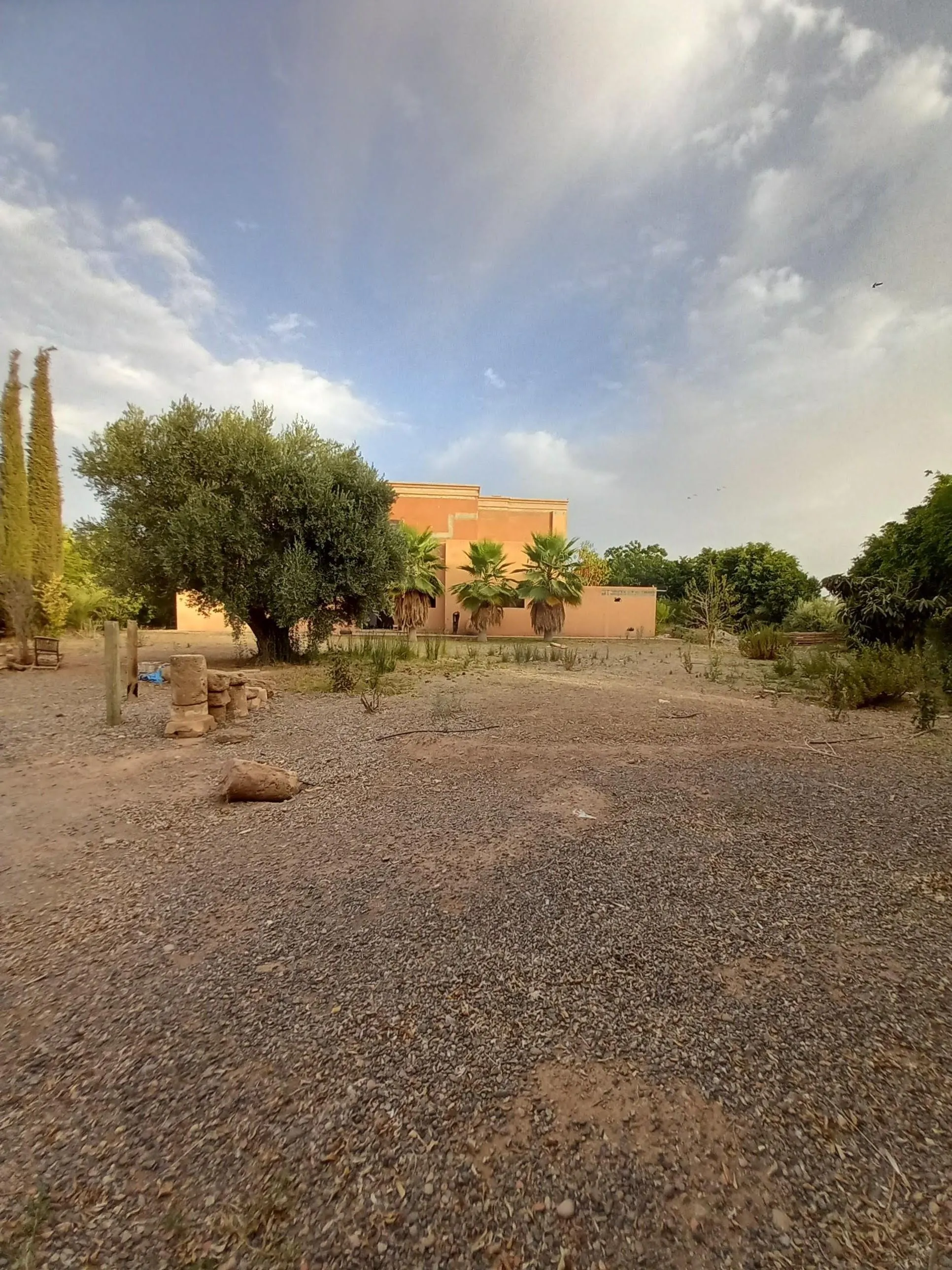 Lot commercial d'un Hectare à  Chrifia - مراكش (4)