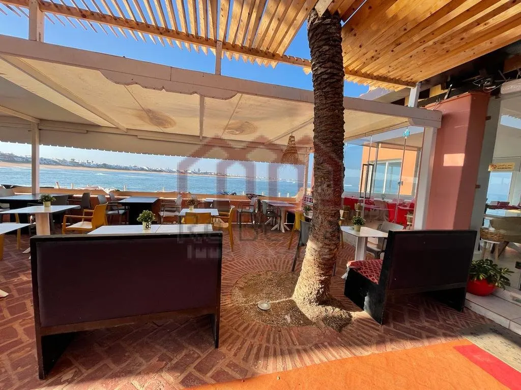 Café/Restaurant en exclusivité fond et mur - مراكش (3)
