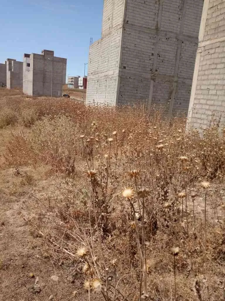 Terrain a vendre a BOHAYRAT SAISS - فاس (2)
