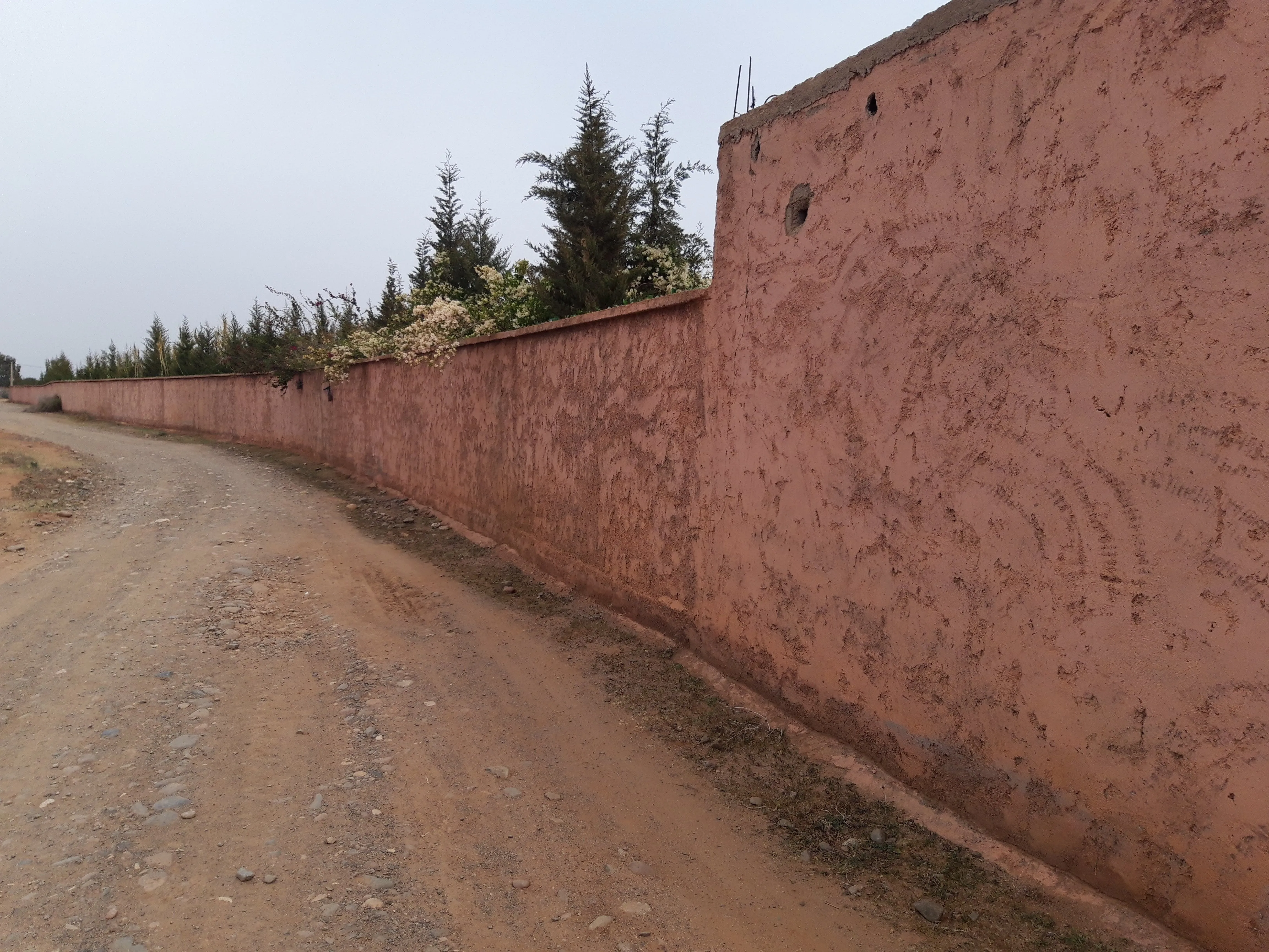 Ferme titrée de 4 Hectares à Sidi Abdellah Ghiat - مراكش