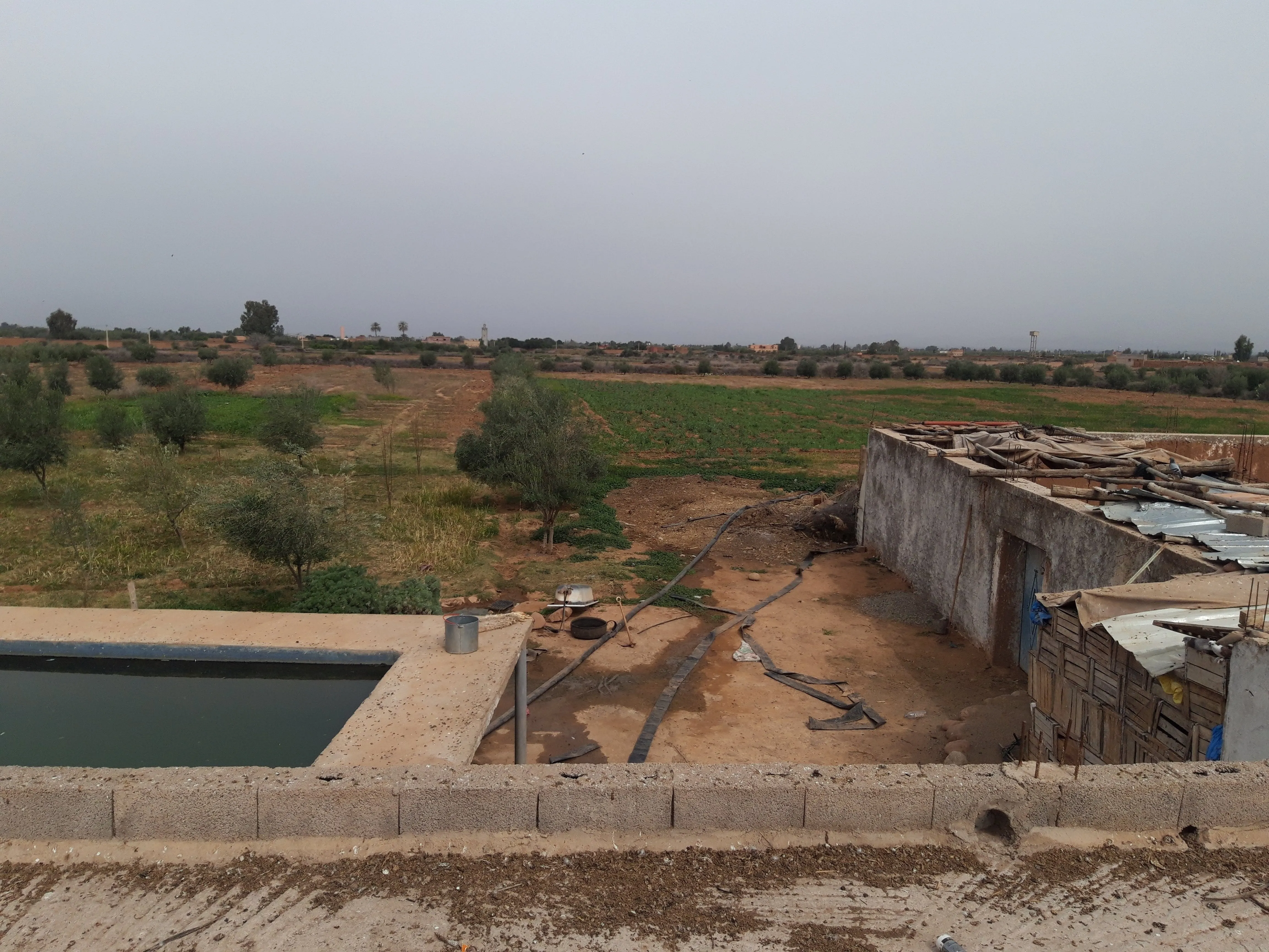 Ferme titrée de 4 Hectares à Sidi Abdellah Ghiat - مراكش (4)
