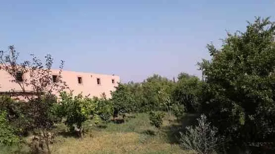 Ferme très bien placée et aménagée - برشيد (3)