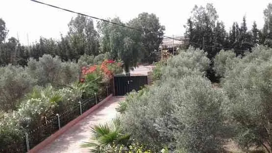 Ferme très bien placée et aménagée - برشيد (2)