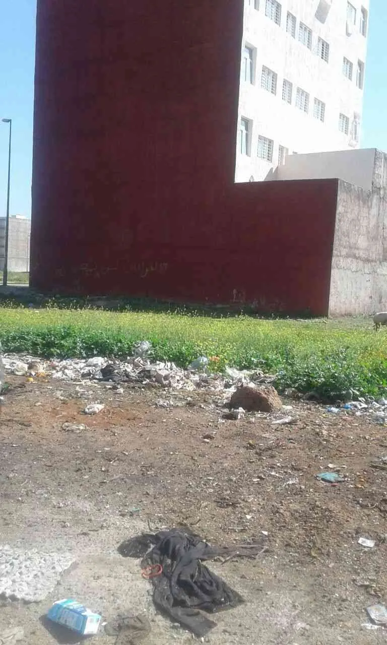 Terrain de 270 m2 à Ben Souda - فاس