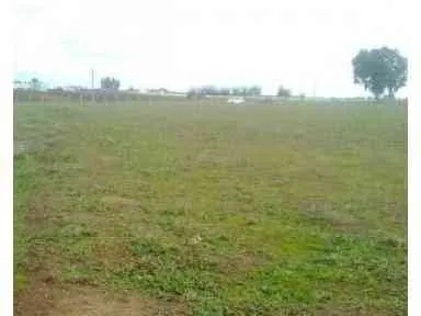 Terrain agricole milkiya mohada 3200 m2 Benslimane - بن سليمان