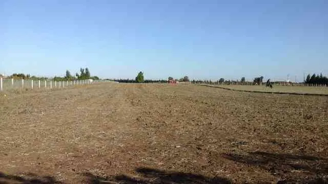 Beau terrain agricole titré 2 ha 50 ar Mohammedia - المحمدية