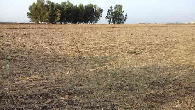 Terrain agricole titré 1500 m2 à Benslimane - بن سليمان