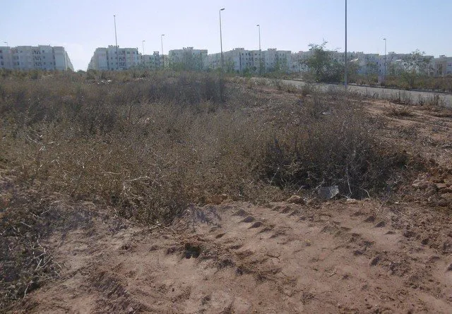 Terrain 161 m² à vendre, Dar Bouazza, Casablanca - الدار البيضاء (3)