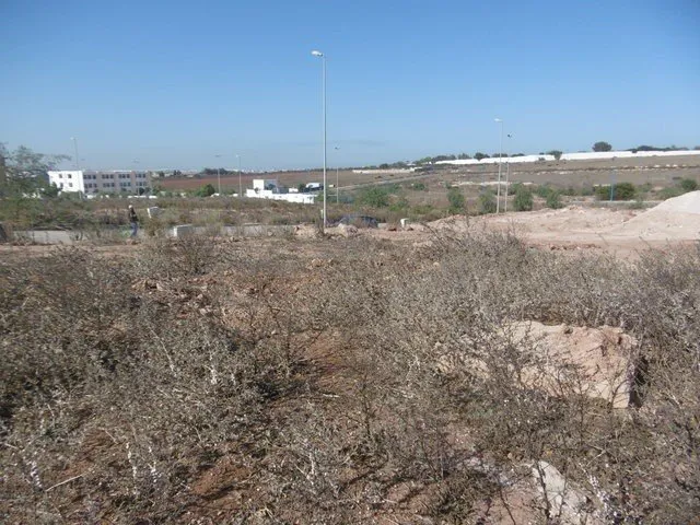 Terrain 161 m² à vendre, Dar Bouazza, Casablanca - الدار البيضاء (2)