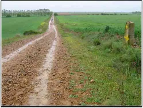 Terrain agricole titré 1ha 50 ares sur Benslimane - بن سليمان