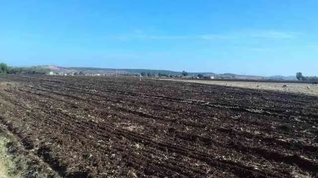 Beau Terrain agricole titré 1 ha sur Benslimane - بن سليمان