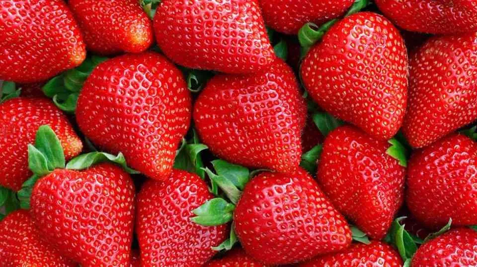 ferme a vendre - مولاي بوسلهام