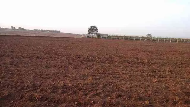 Terrain agricole titré 1 ha 20 ares sur Benslimane - مراكش