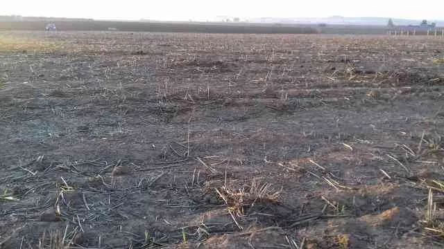 Terrain agricole titré 43512 m2 sur Benslimane - بن سليمان