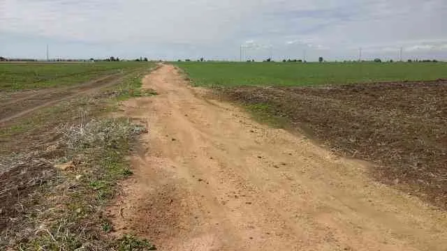 Terrain agricole milkiya mohaddada 1 ha Benslimane - بن سليمان (2)