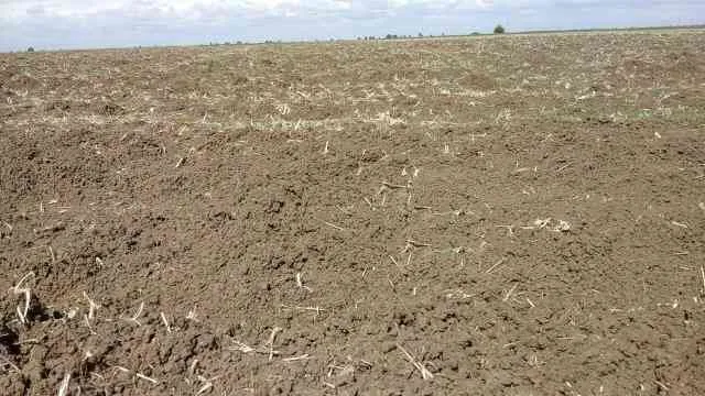 Terrain agricole milkiya mohaddada 1 ha Benslimane - بن سليمان