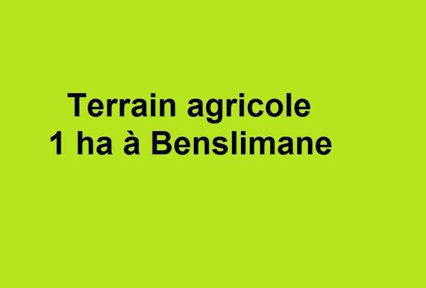 Terrain agl. réquisition 1ha Benslimane - بن سليمان