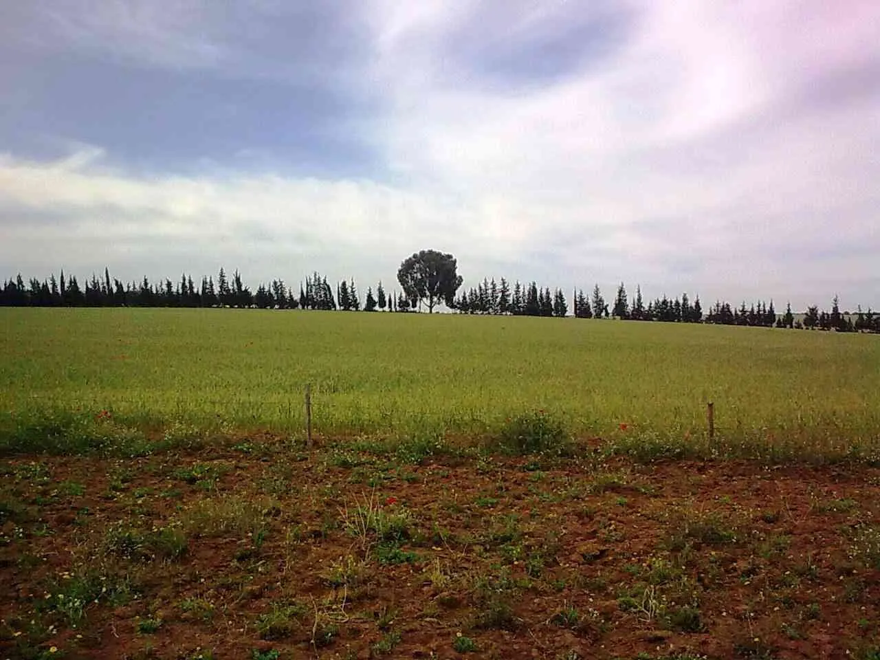 Terrain agricole titré à 3mn de Bouznika - بوزنيقة