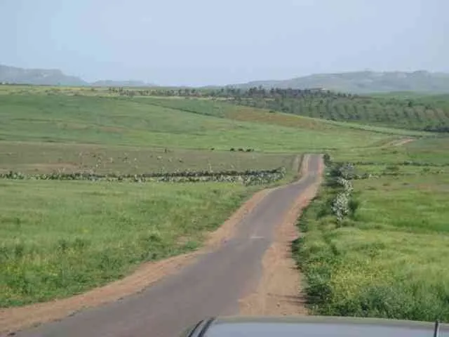 Terrain agricole titré 3ha à Benslimane - بن سليمان