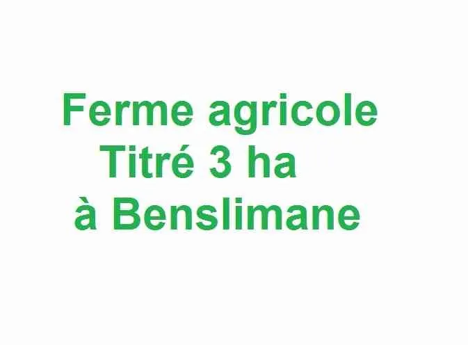 Ferme agricole titré 3 ha sur Benslimane - بن سليمان